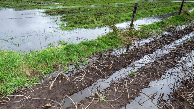 Europa breidt de versoepeling van de landbouwregels na een natuurramp uit.