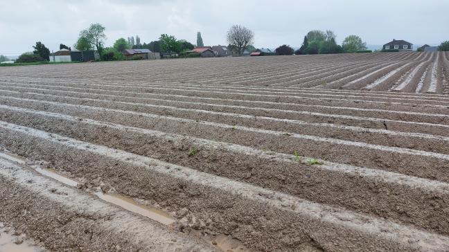 De Belgapomnotering steeg deze week voor de tweede week op rij.