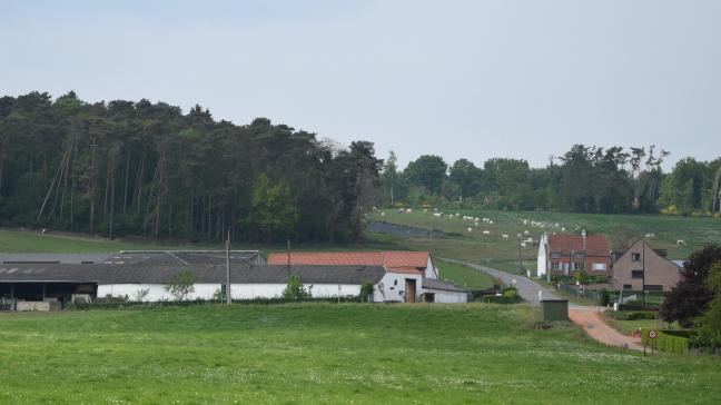 Er is geen lijst beschikbaar van landbouwgronden die de Vlaamse overheid binnen het projectgebied Brabantse Wouden wil verwerven voor bebossing of natuurrealisatie.