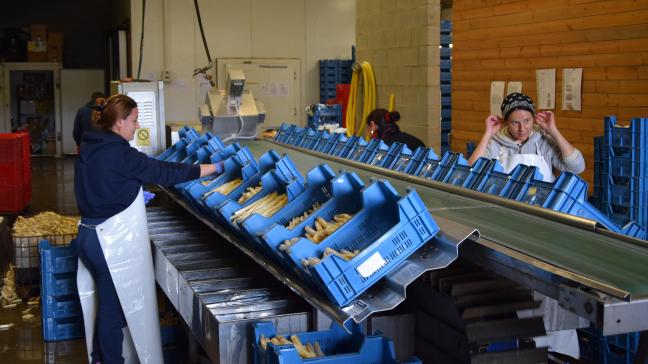 Naast ondernemingen komen ook landbouwers in aanmerking voor deze projectsubsidie om de verwerking en afzet van landbouwproducten te verbeteren.