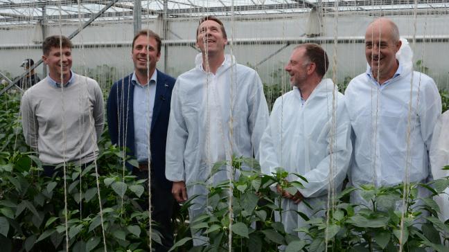 Telers Alexander en Lawrence Van den Bosch (links) leidden Vlaams minister van Landbouw Jo Brouns en de genodigden rond op hun tuinbouwbedrijf.