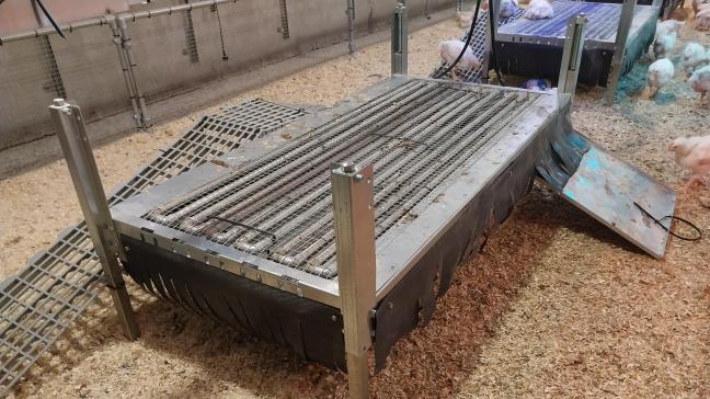 Prototype van een multifunctioneel platform voor vleeskuikens met een donkere en afgeschermde zone, watergekoelde buizen, mestopvang en -afvoer.
