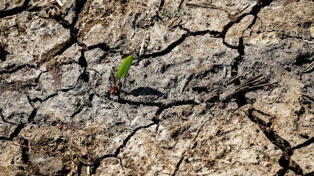 De maand mei is met een gemiddelde oppervlaktetemperatuur van 0,65°C boven het gemiddelde niet alleen de warmste mei ooit, maar ook de twaalfde maand op rij waarin de wereldwijde gemiddelde temperatuur een recordwaarde bereikt voor de overeenkomstige maand.