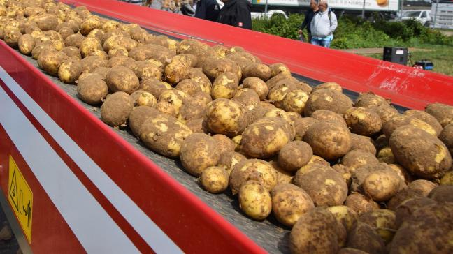 De Belgapomnotering steeg deze week voor de derde week op rij.