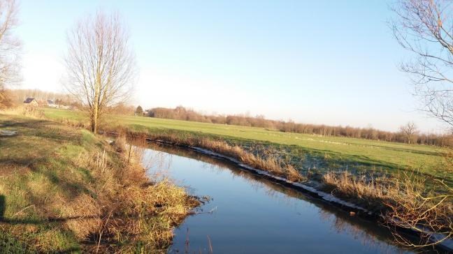 Het VMM meldt dat de grondwaterstanden in hun meetlocaties hoog staan. Ook de debieten van waterlopen stijgen in het oosten van Vlaanderen.