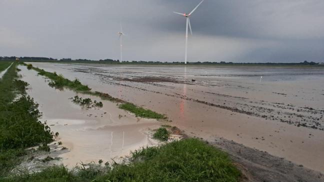 Voor de Nederlandse telers van suikerbieten zorgt hetnatte weer van de voorbije periodevoor grote uitdagingen op het land.