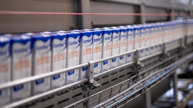 De omzet van zuivelverwerkende bedrijven in België daalde met ongeveer 1% in 2023.