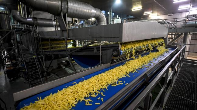 85% van de EU-export van bevroren frieten naar Colombia is afkomstig van België, Nederland en Duitsland.