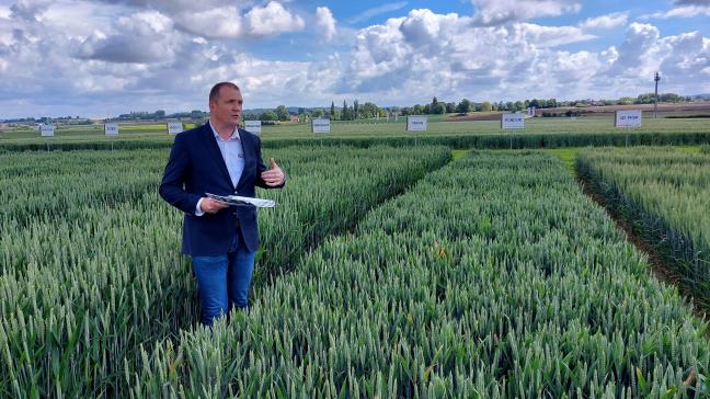 Filip Desmyter gaf  toelichting bij nieuwe wintertarwerassen die Jorion-Philip-Seeds  aanbiedt.