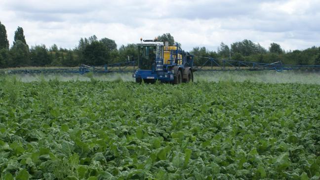 Het nieuwe fungicide Panorama zorgt voor een sterke ziektebestrijding in bieten, granen en  koolzaad.