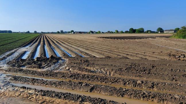 De natte winter en lente hebben voor een ‘bijzonder uitzonderlijke situatie’ gezorgd in de landbouw, zo zegt Pieter Van Oost (Boerenbond).