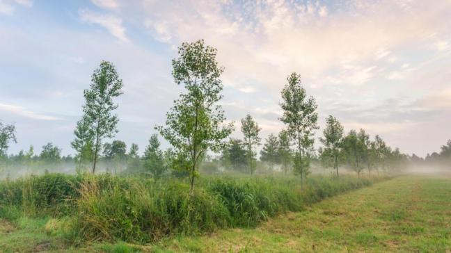 Het Limburgse Bosland is nu ook definitief erkend als Nationaal Park.