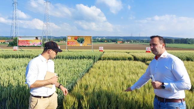 Thomas Truyen (l) en Sander Van Kerckhove gaven toelichting bij het demoplatform van Limagrain.