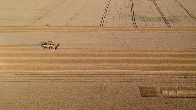 Meer dan 27% van de Amerikaanse tarweoogst was in week 25 al achter de rug.