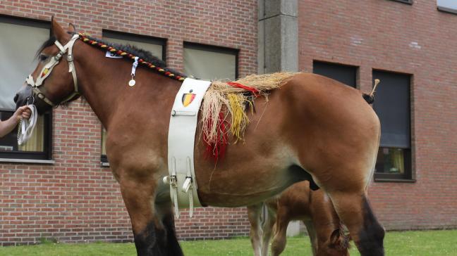 Nadja Nena van de Kabei werd uitgeroepen tot Dagkampioene Torhout 2024.