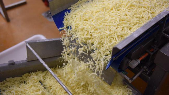 Het is uitzonderlijk dat de mozzarellaprijs nu hoger is dan de goudaprijs.