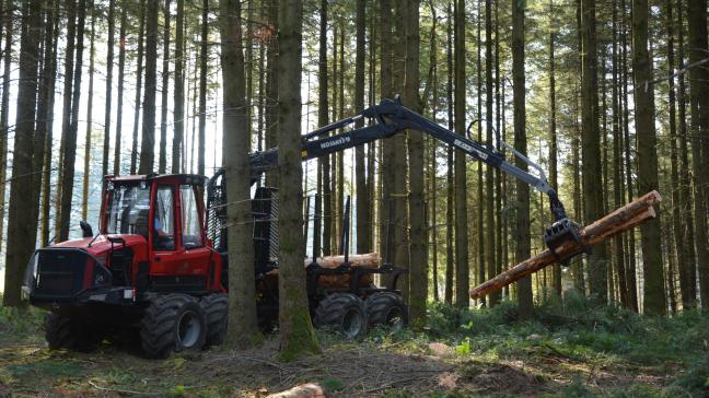 Na de 4 dagen op de Beurs van Libramont worden de bezoekers verwacht in het bos van Bertrix, waar  de 22ste editie van Demo Forest georganiseerd wordt.