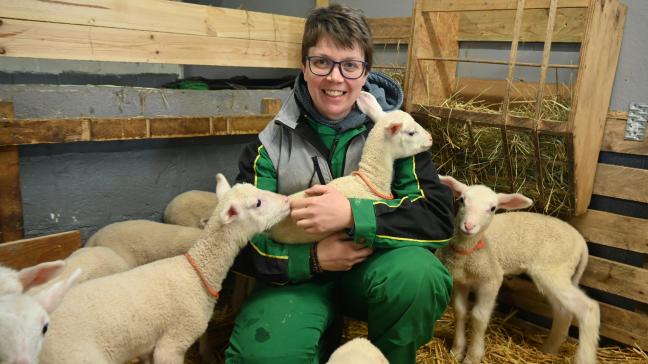 Stéphanie Parent doet de lammeren een halsband om met de naam van de moeder en identificeert hen met een oormerk.