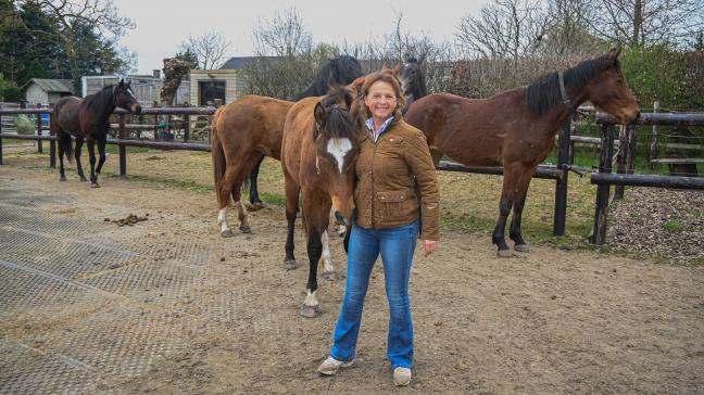 Anne De Wulf koos 5 jaar geleden voor het concept van de ‘actieve stal’. Er is een wachtlijst om je paard bij haar te stallen.