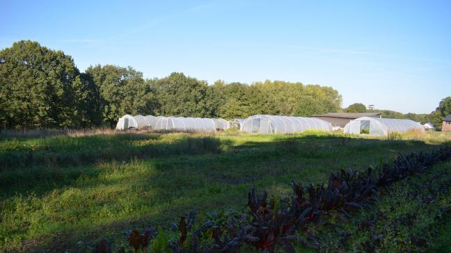 Het onderzoek van de UGent naar CSA-boerderijen concludeert dat duurzame landbouw niet alleen mogelijk is, maar ook rendabel kan zijn.