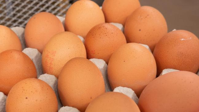 Kippeneieren stapelen 4 tot 5 keer meer PFAS op dan zelfgekweekte groenten, maar eieren uit de supermarkt bevatten dan weer veel minder PFAS dan eieren uit de tuin.
