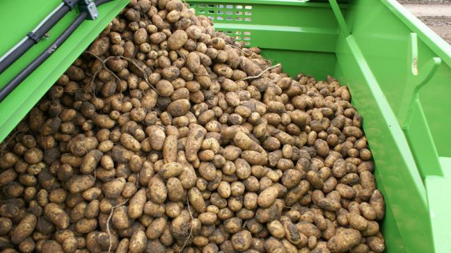 Aardappelbereidingen zoals diepvriesfrieten dragen in 2023 het sterkst bij tot het positieve handelssaldo.