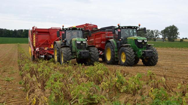 Nog nooit eerder waren  de situaties zo extreem uiteenlopend in het aardappelveld: op een moment dat de vroege aardappelen gerooid worden, dienen de late extreem goed  opgevolgd te worden.
