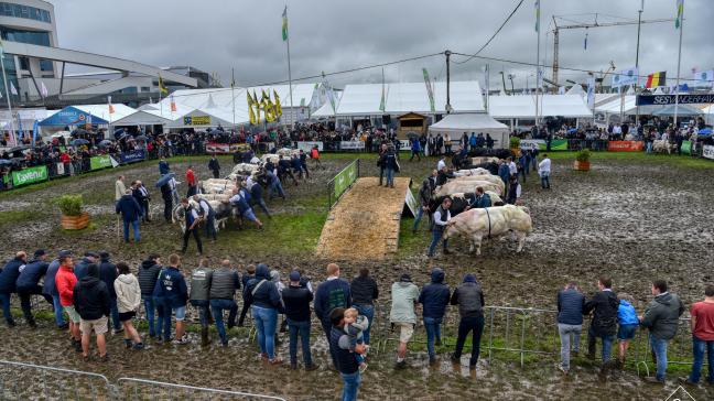 Al na een uur was het strijdtoneel van de prijskamp herschapen in een modderpoel.