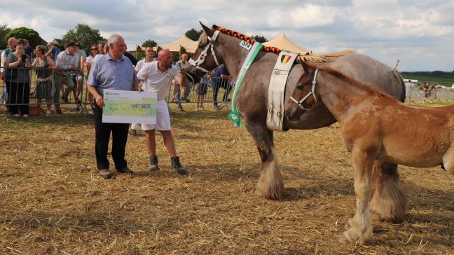 Kampioenmerrie Line van de kleine Heide van Vlaams-Brabant werd bekroond met een cheque van 500 euro.