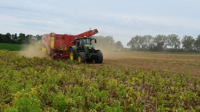 De Belgapomnotering bedraagt 125 euro per ton (zonder BTW) voor vroege aardappelen.