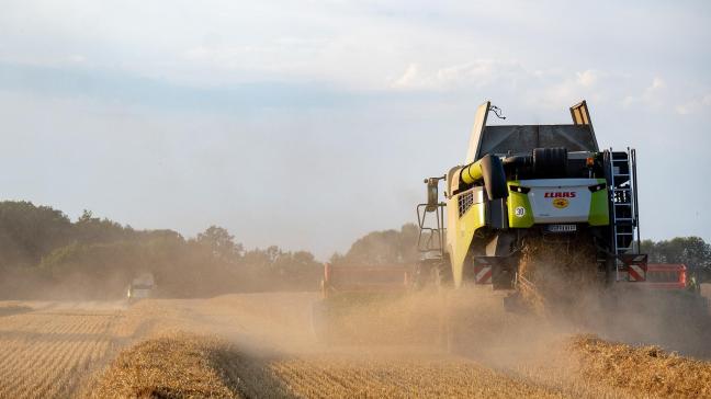De totale Duitse graanoogst (zonder korrelmaïs) zal naar verwachting ongeveer 34,5 miljoen ton bedragen, 9,1% minder dan in het voorgaande jaar.