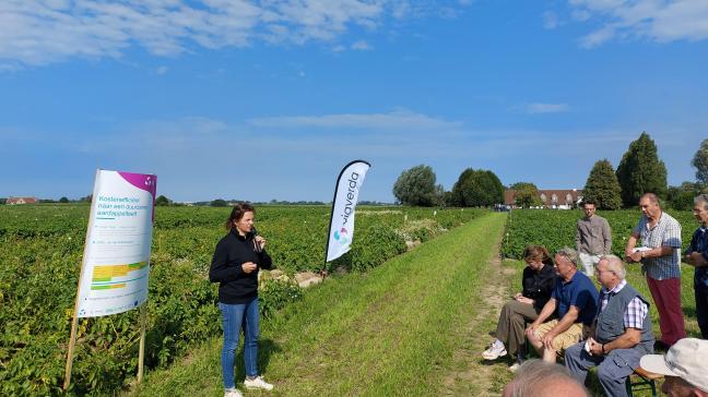 Ilse Eeckhout, teamleider aardappelen  bij Viaverda, besprak op het proefveldbezoek enkele actualiteiten uit het  aardappelonderzoek.
