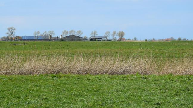 De gemiddelde prijs van landbouwgrond in West-Vlaanderen bedraagt in de eerste helft van 2024 meer dan 83.000 euro/ha.