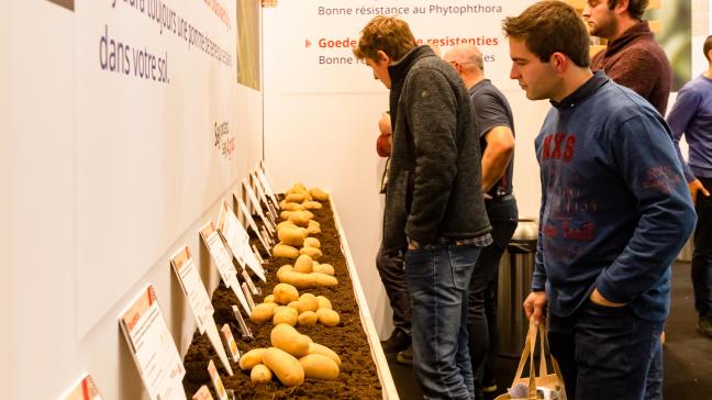 Interpom is nu al op maximale capaciteit en zal plaatsvinden op 24, 25 en 26 november in Kortrijk Xpo.