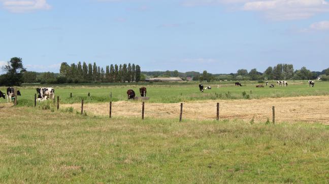 Overheden kopen nog landbouwgrond, maar niet om te verpachten aan boeren, vaak wel voor het behalen van natuurdoelstellingen.