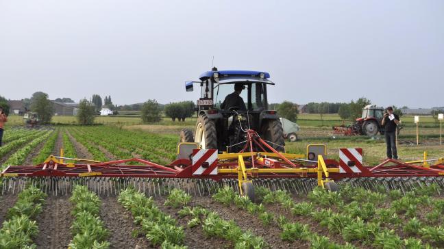 Eén van de 3 trajecten van het Simone-project van Inagro focust op onkruidbeheersing.