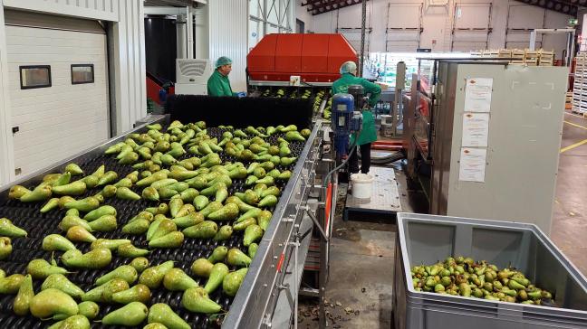De fruitsector levert geen grondstof, maar een  eindproduct.