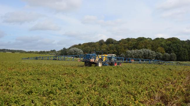 Afhankelijk van de evolutie van het perceel wordt het tijd om aan de loofdoding in aardappelen  te denken.