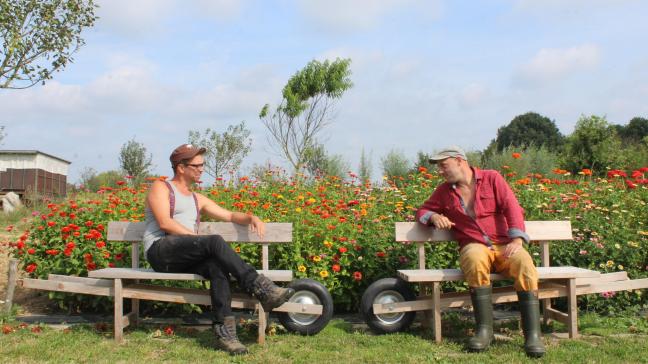 Steven en Didier hebben met Modest & Kamiel nog maar de tweede bioboerderij in het landelijke Oudenaarde.