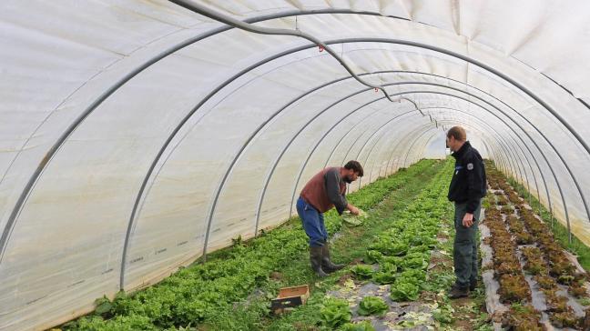 De Europese Unie schiet dramatisch tekort bij het voeren van een doeltreffend beleid op het vlak van biologische landbouw, dat stelt de Europese rekenkamer.