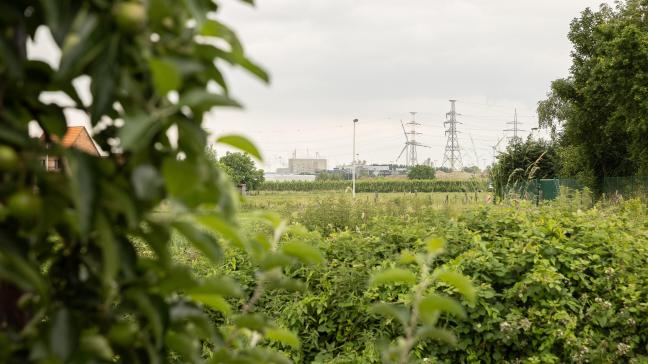 De rechter oordeelt dat het Vlaamse Gewest en de Openbare Vlaamse Afvalstoffenmaatschappij (OVAM) in de fout gingen door pas in 2021 te communiceren over de PFOS-vervuiling in Zwijndrecht.