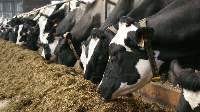 De koper die geconfronteerd wordt met een verborgen gebrek heeft de keuze tussen de koopvernietigende vordering en de vordering tot prijsvermindering.