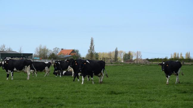 In 2022 stootte de primaire sector, waaronder landbouw, voor het eerst minder broeikasgassen uit dan in 2008.