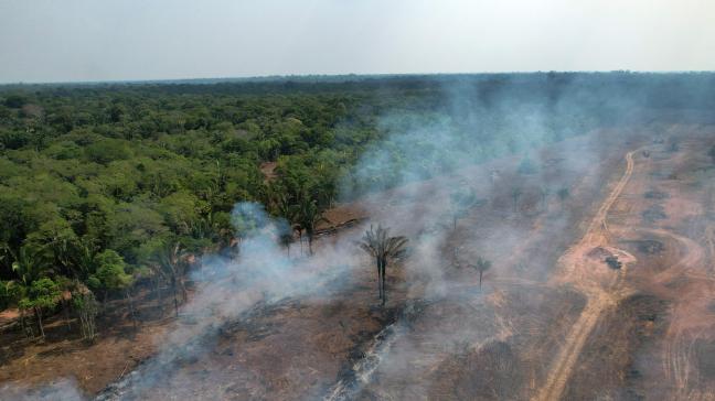 Vorig jaar verdweenwereldwijd 6,37 miljoen hectare aan bos.