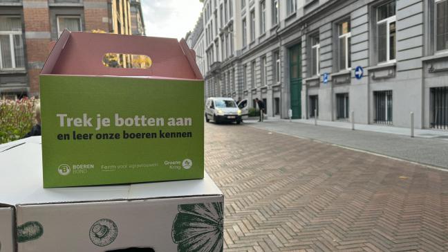 Afbeelding van WhatsApp op 2024-10-08 om 09.50.28_0dd4c99a