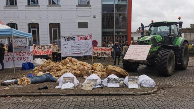 Minister Dalcq stelt steunmaatregelen voor aan veehouders getroffen door de gevolgen van het blauwtongvirus.