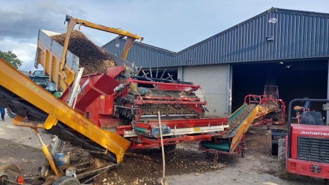Aardappeltelers kregen verkeerde facturen opgestuurd vanuit de FOD Volksgezondheid, Veiligheid van de Voedselketen en Leefmilieu.