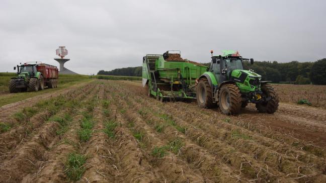 Er zit een sterke spreiding in de rendementen van de aardappelvelden.