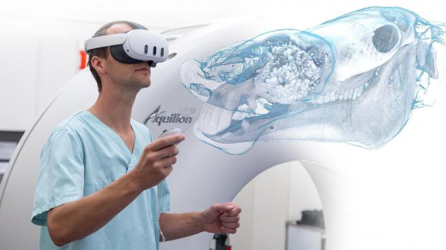 Dankzij de VR-headset kan de chirurg inzoomen op specifieke gebieden en zelfs navigeren binnen het lichaam van het paard.