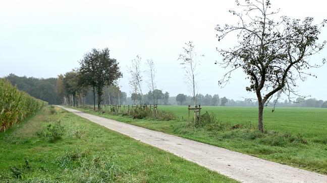 Nieuwe houtkant in Ravels met steun uit de oproep van 2023.